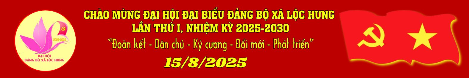 Banner Website