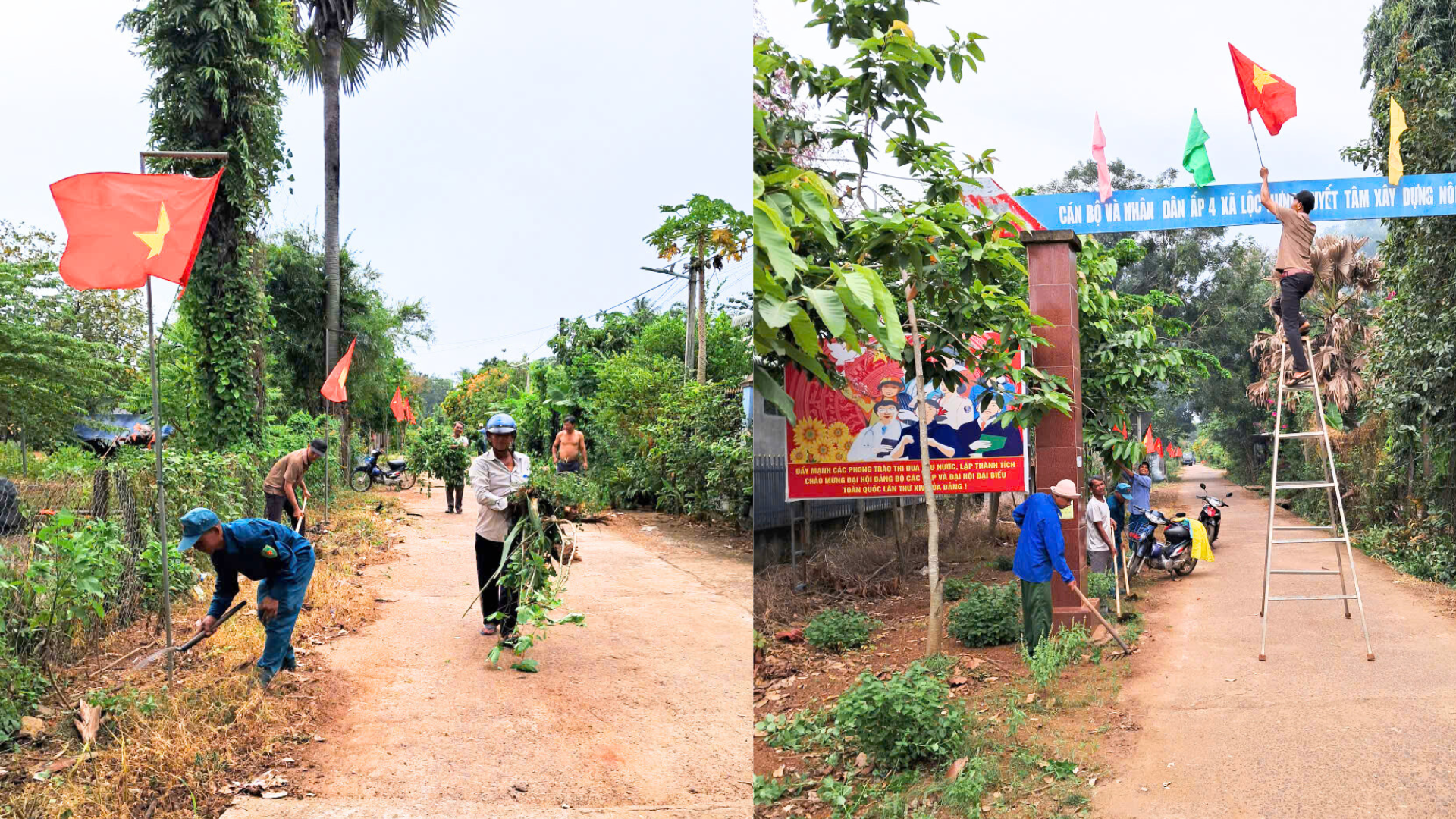 Treo co TQ chao mung DH Dang