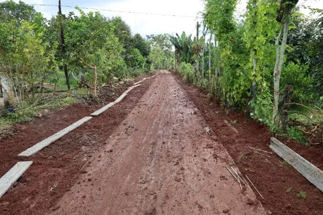 Picture2