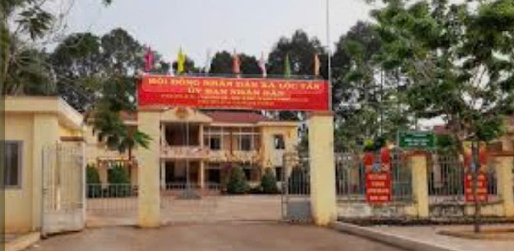 Tổng quan xã Lộc Tấn