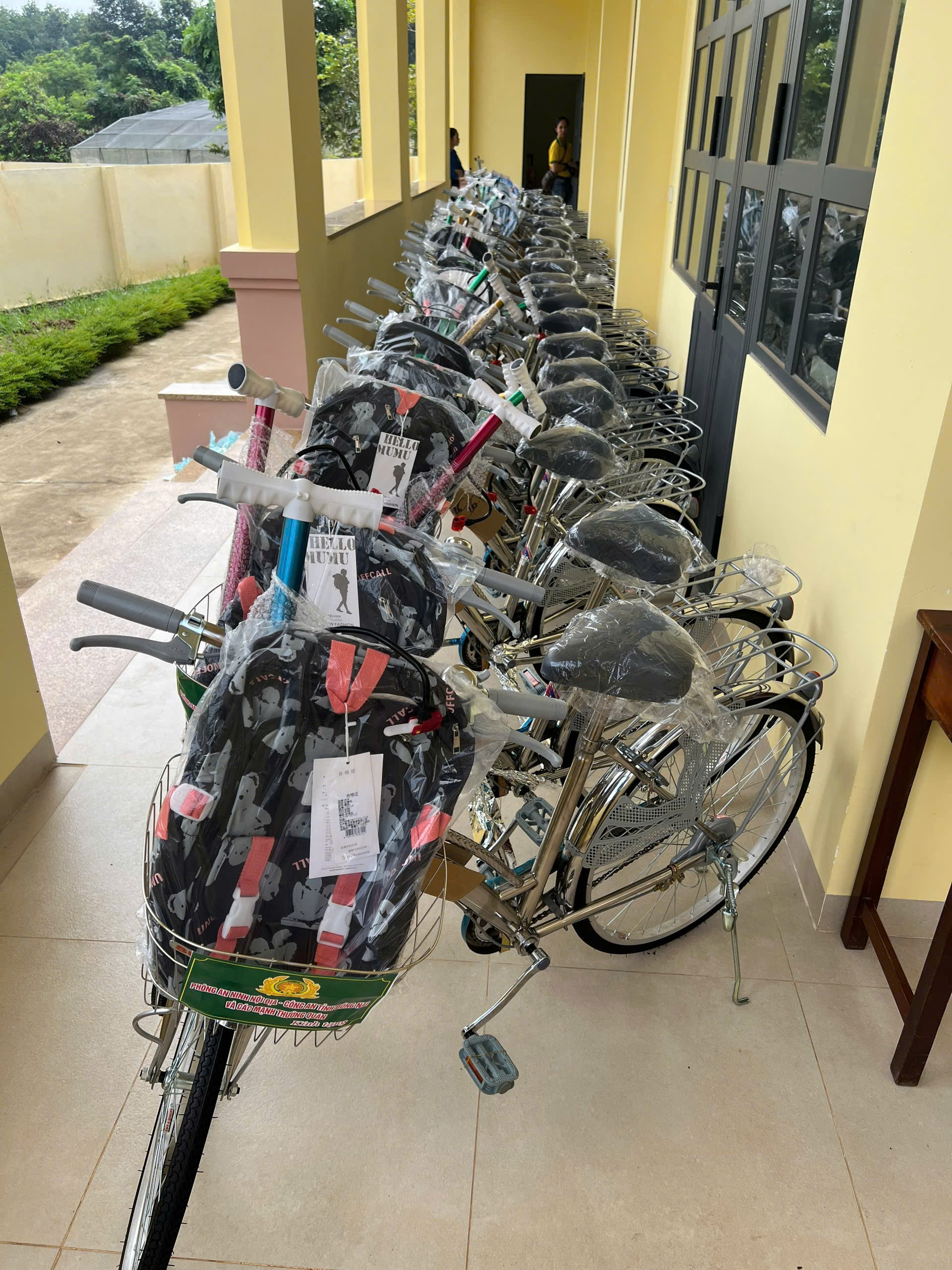 z6914215337422 ab21c12a5a7d789702d0a78104b7d263