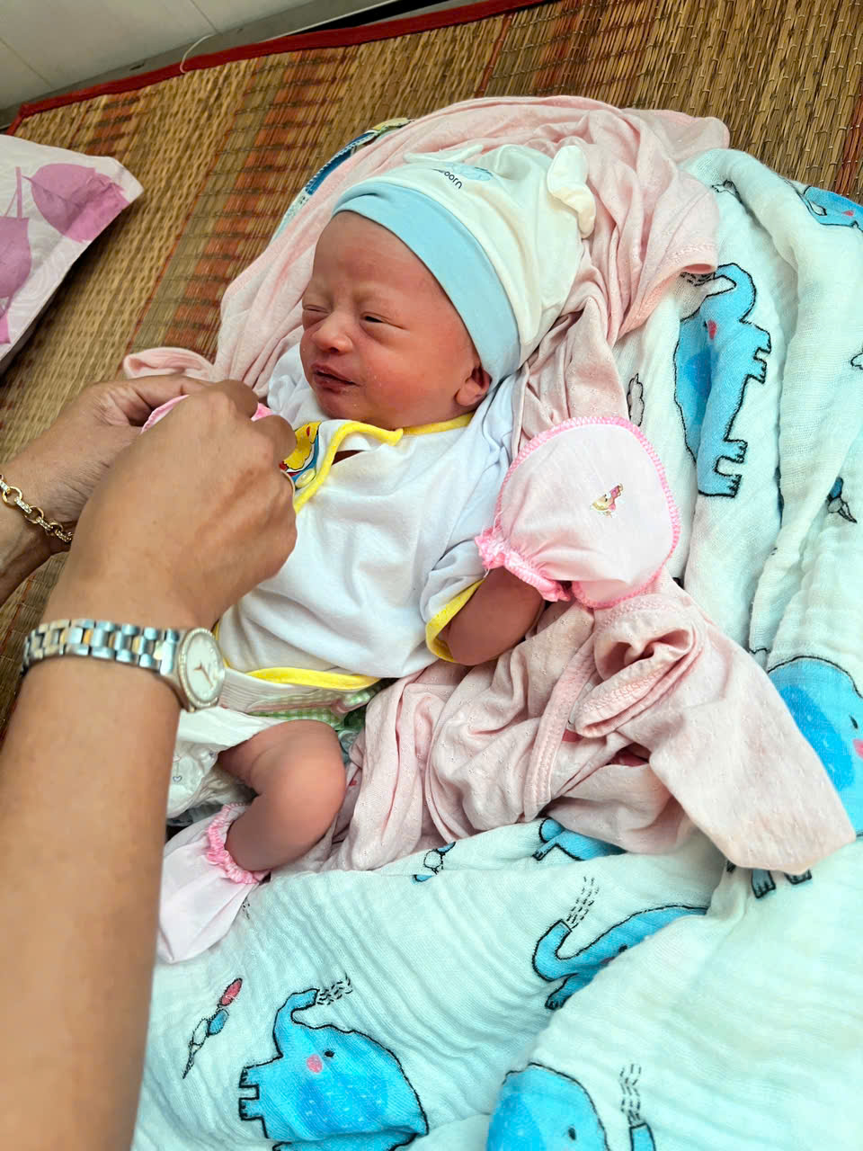 z7596979757568 0f33db5527504b602d8c64484b20dc1f