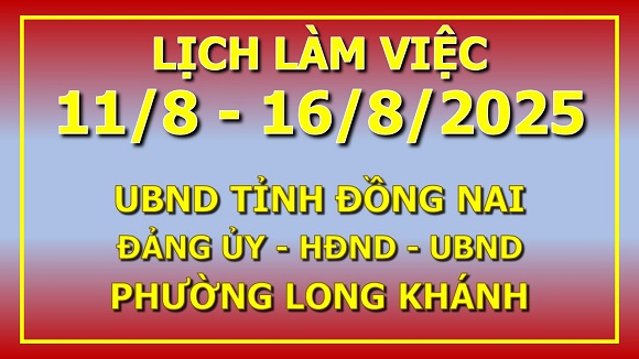 Lịch làm việc 11 8 16 8 2025