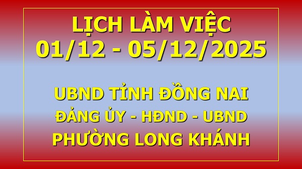 Lịch làm việc 01 12 đến 05 12 2025