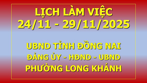 Lịch làm việc 24 11 đến 29 11 2025