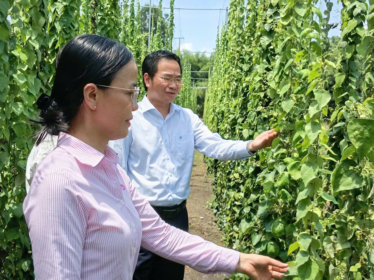 Không có mô tả ảnh.