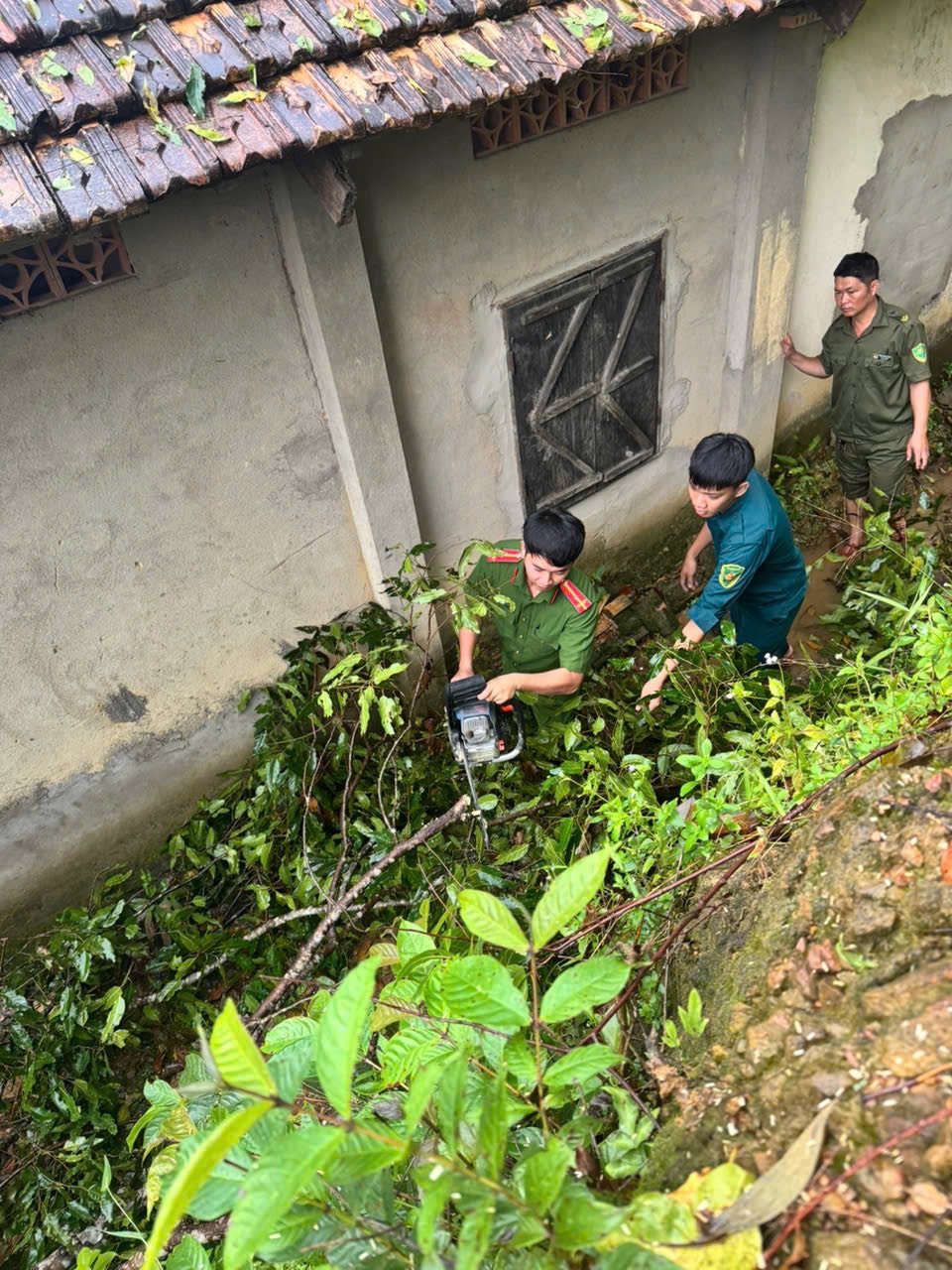 537765537 1718731389059097 2108828059776109621 n