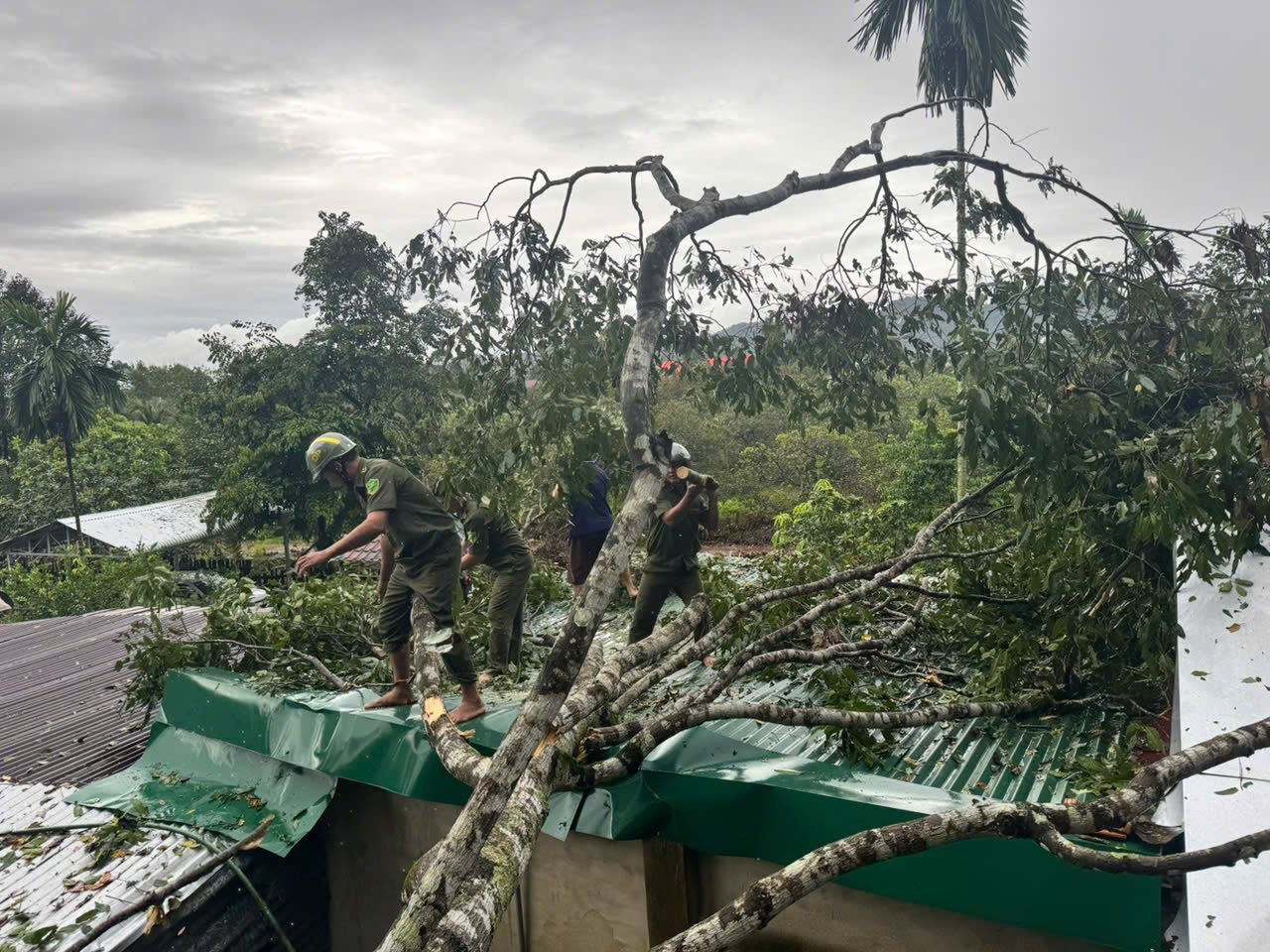 539607240 1718731349059101 3679995779758124491 n