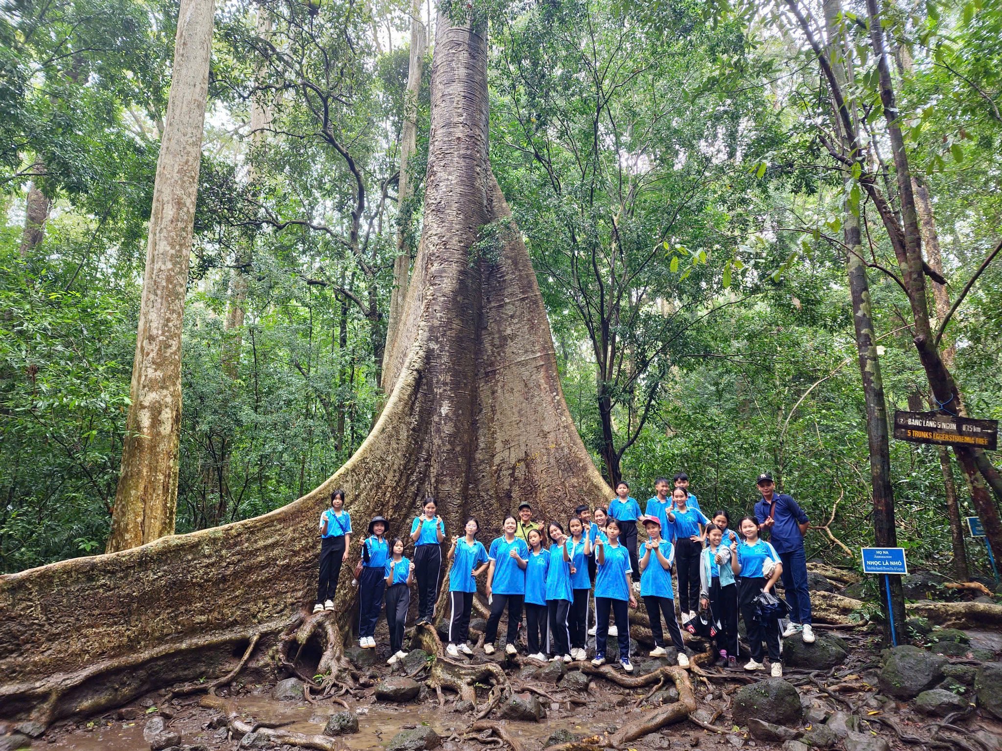 555745912 1399877132146105 3131261652353939063 n