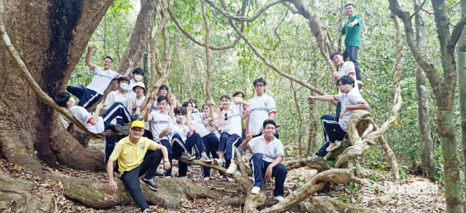 screenshot 1762151413