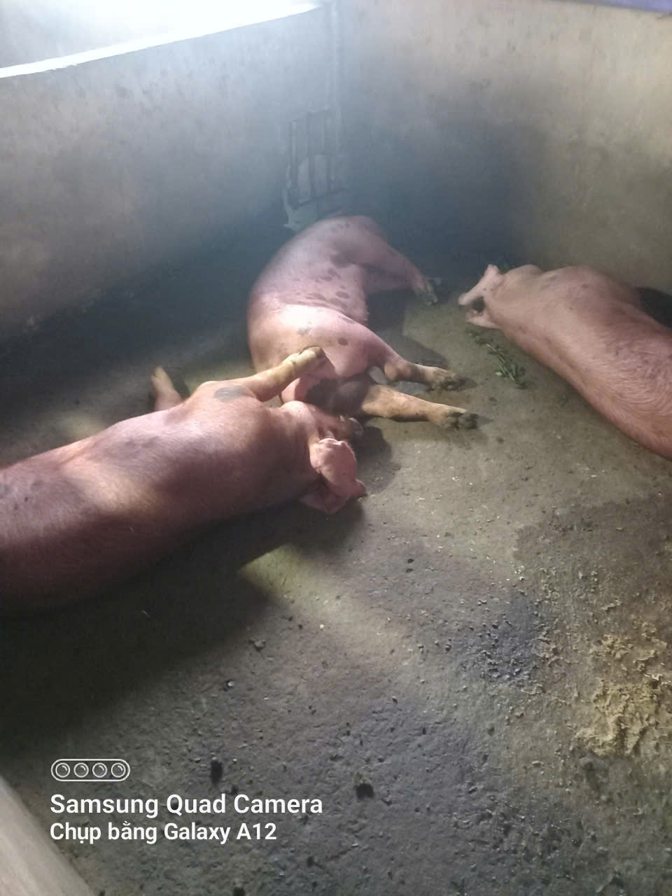 z6844964687890 63d3b6f37951bb8cabfabc8523cb8a59