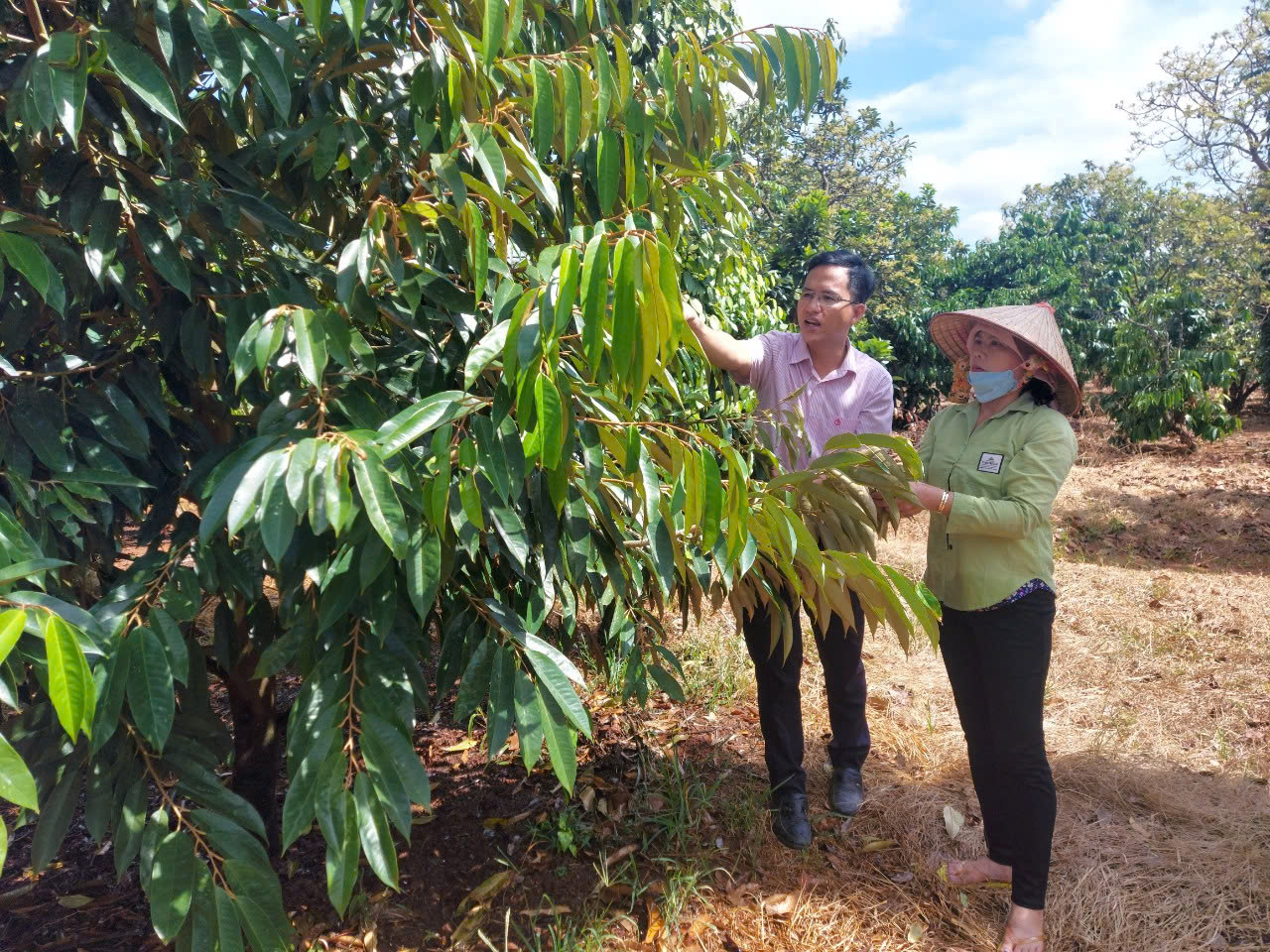 z7263301127657 3d481537d5f40dcdccc4e447ebfd17e8