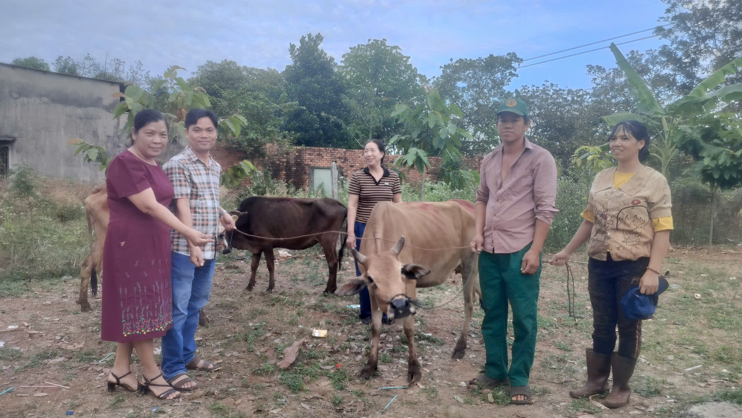 4ef50ed2bded32b36bfc