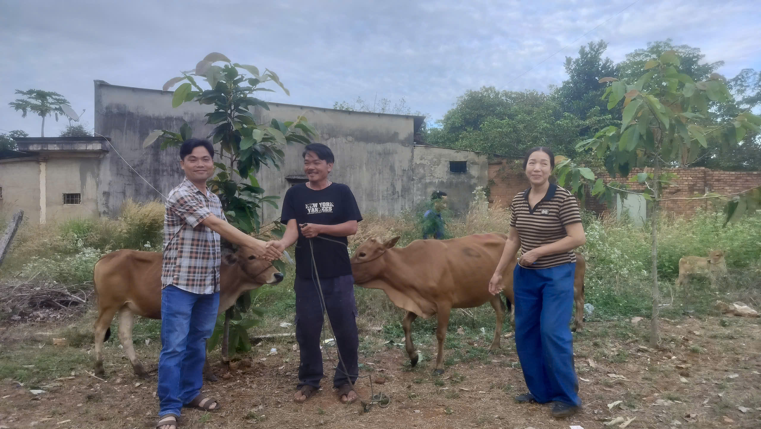 79709aae2a91a5cffc80