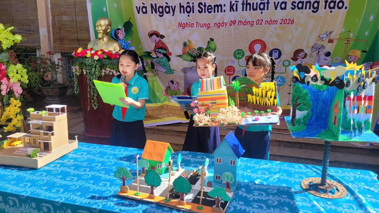 stem 2