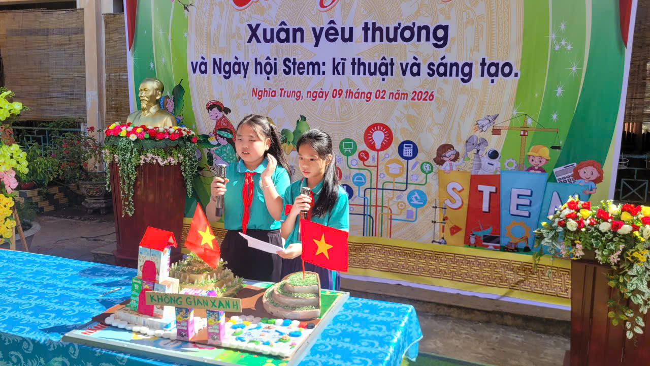 stem 4