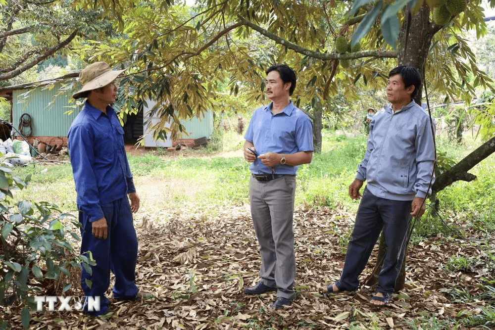 cong trinh ho chua nuoc darana o nghia trung dong nai 1704 4