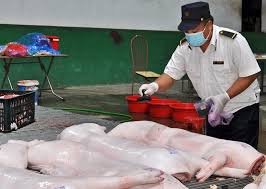 THỰC HIỆN TỐT NHIỆM VỤ KIỂM DỊCH, KIỂM SOÁT GIẾT MỔ ĐỘNG VẬT GÓP PHẦN HẠN