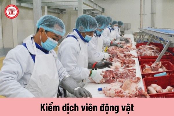 Kiểm dịch viên động vật có phải thực hiện việc kiểm soát giết mổ động vật