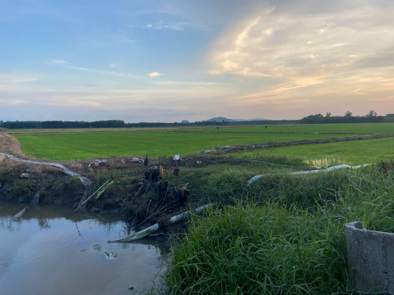z6869524271296 a434d1786cb974deedb75783d953bb13