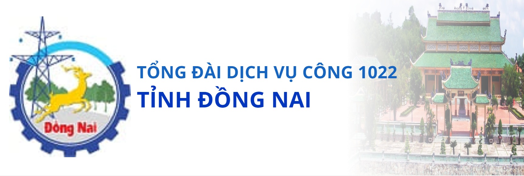 Vị trí 5
