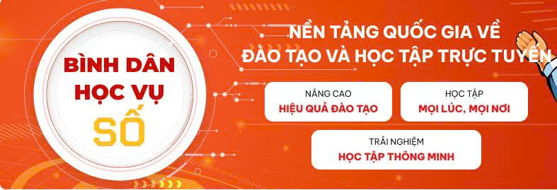 bình dân học vụ