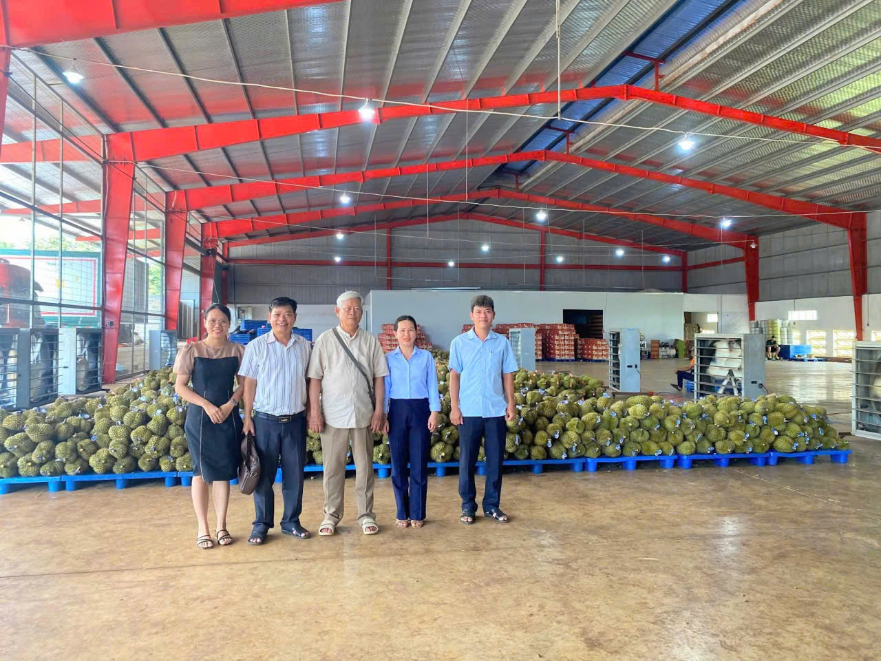 HỘI NÔNG DÂN PHƯỜNG PHƯỚC LONG KHẢO SÁT, LÀM VIỆC VỚI HỢP TÁC XÃ VÀ DOANH NGHIỆP VỀ TÌNH HÌNH THU MUA, TIÊU THỤ SẦU RIÊNG