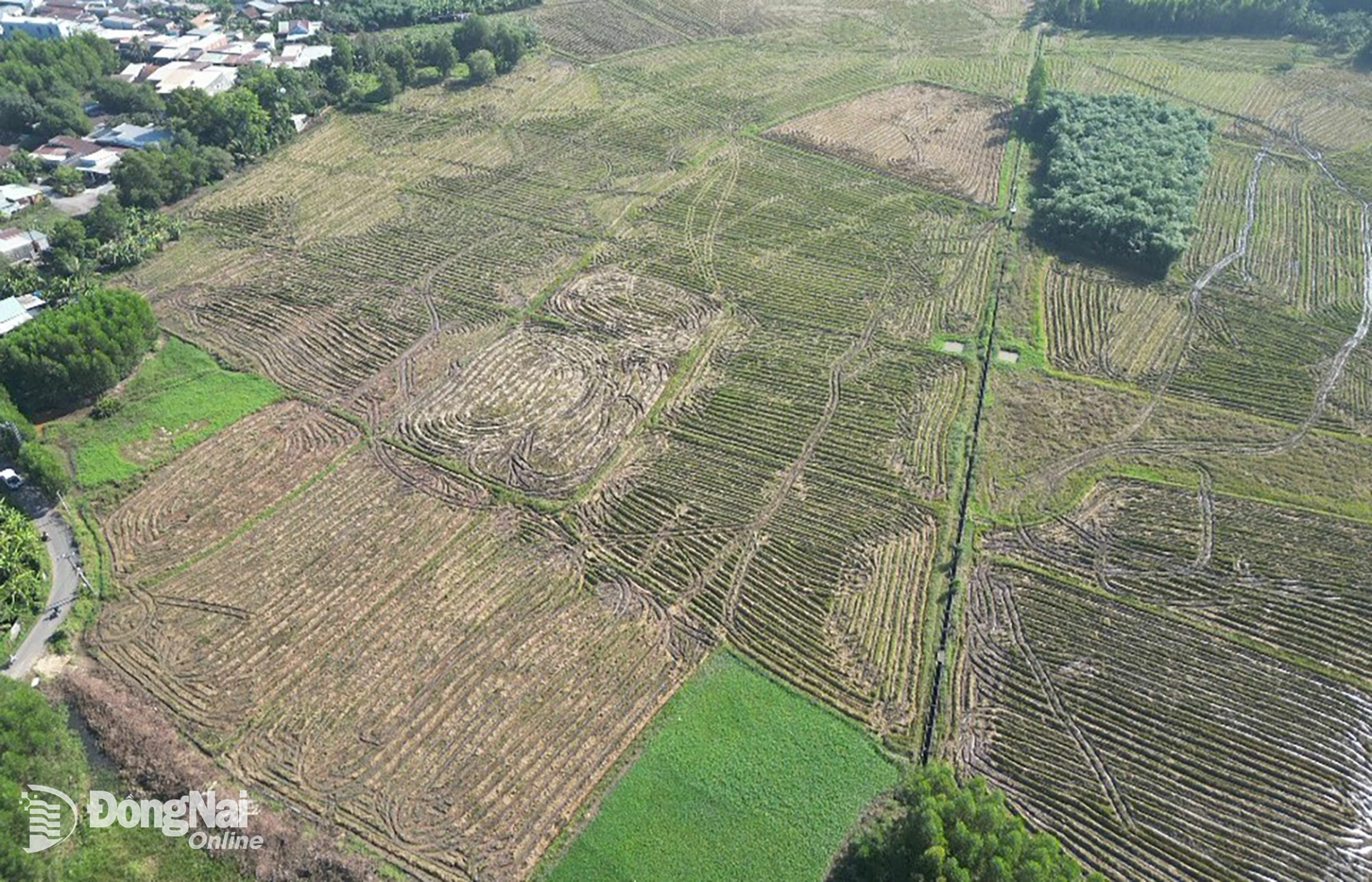 Hiện trạng khu đất triển khai xây dựng Dự án Xây dựng hạ tầng khu tái định cư hơn 49ha tại phường Phước Tân. Ảnh: Hoàng Lộc