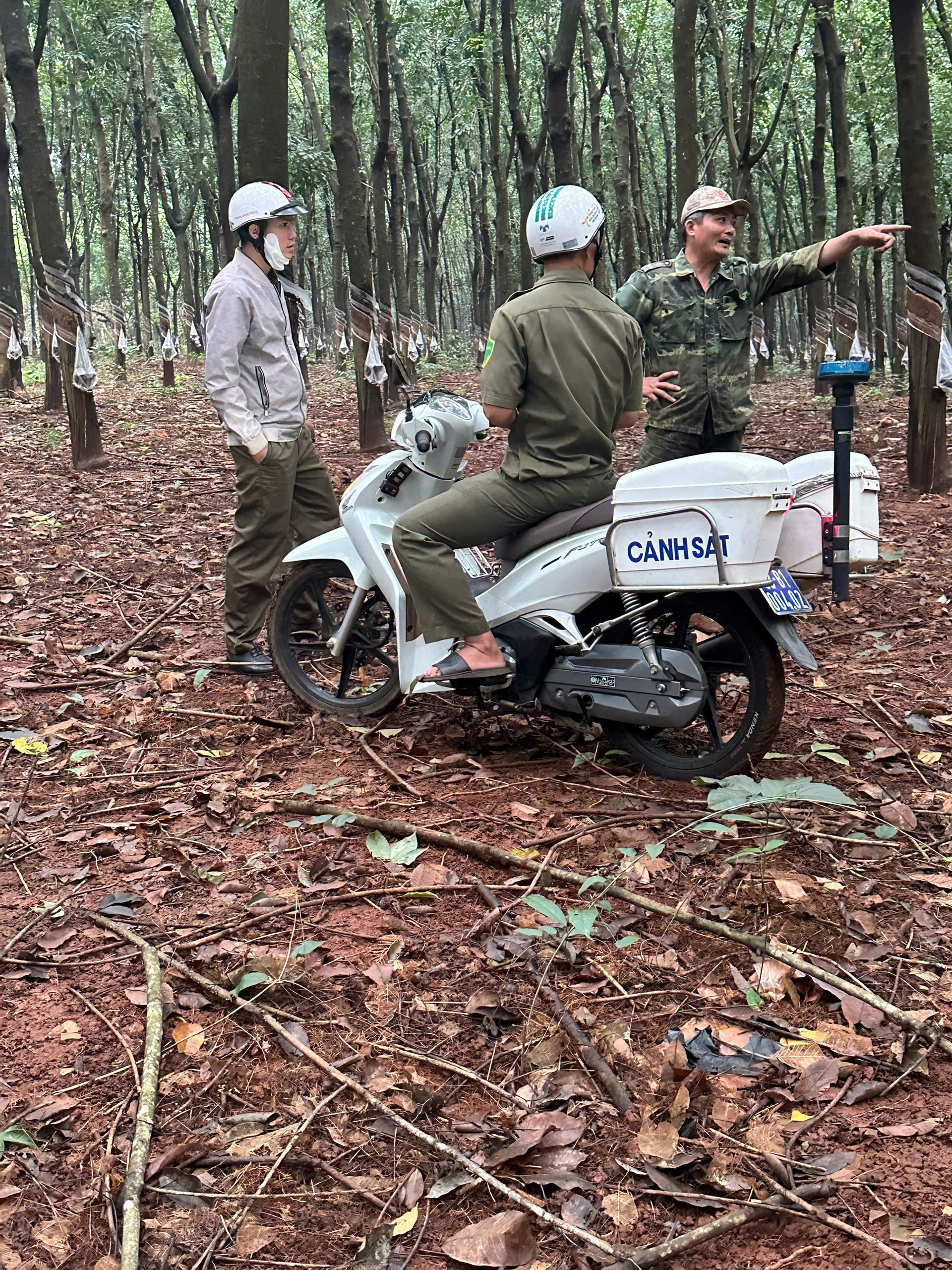 z6948662392291 25801056e019e51b31fafb6408ff4987