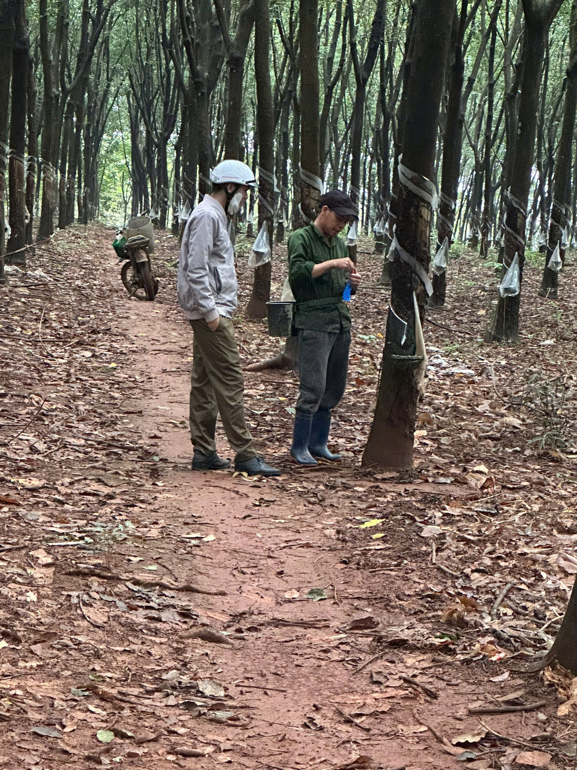 z6948662394848 63b0345fd038126f80d1765069e1da98