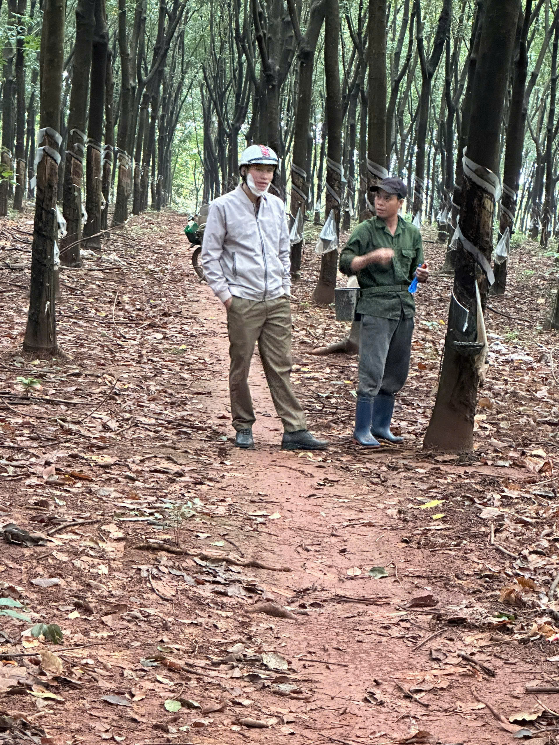 z6948662434349 3340188b8b58a88decf58c903a7c0a8a