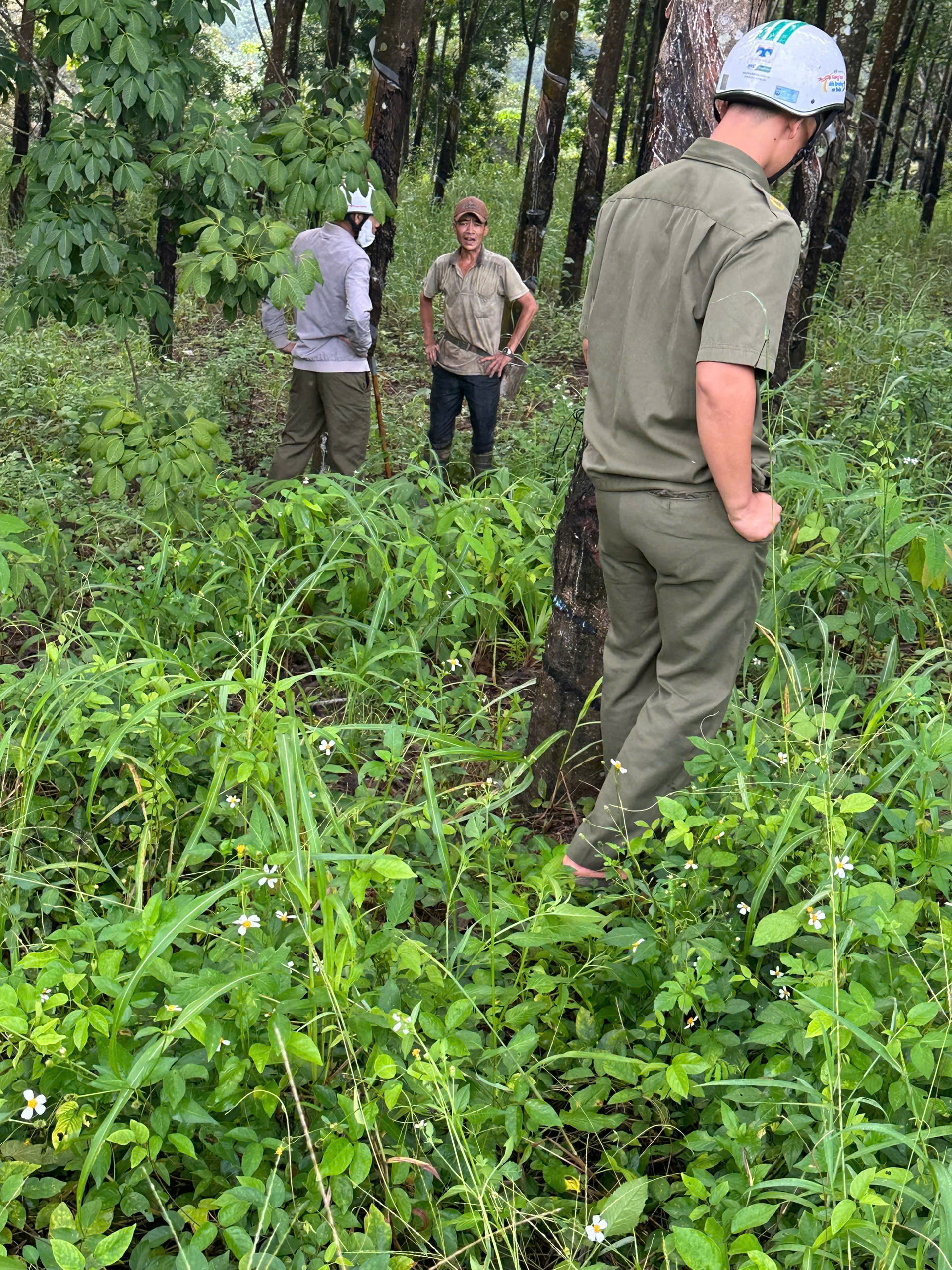 z6948662460045 71c062042b0e01e9cbe8741c0c91bb60