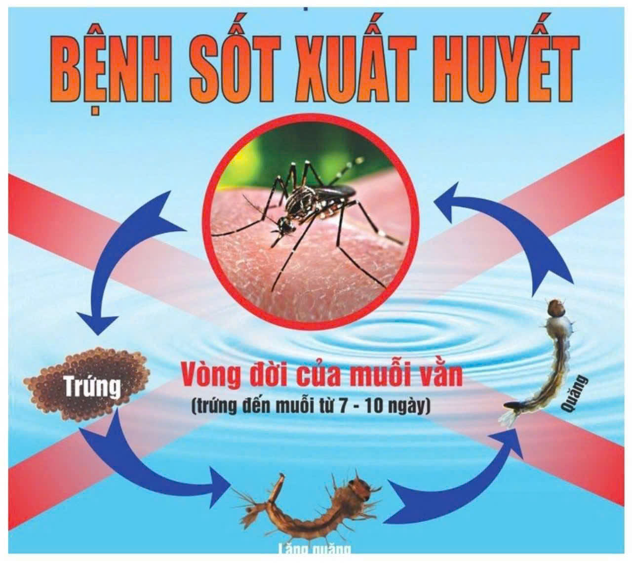 z7719263806544 8068344cbfb4be3d9005889c93a6f2d3