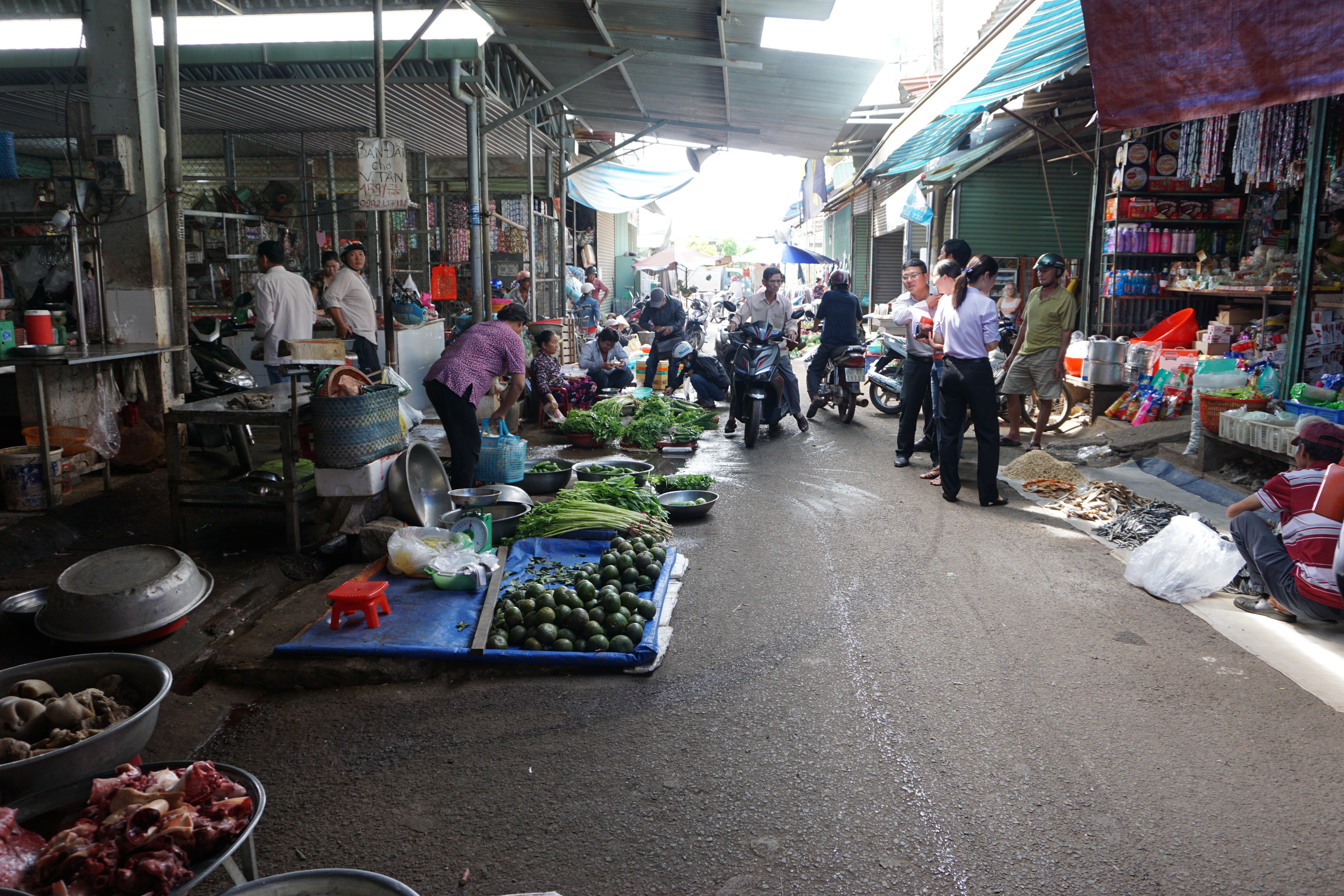 DSC00717.JPG?t=1762423302