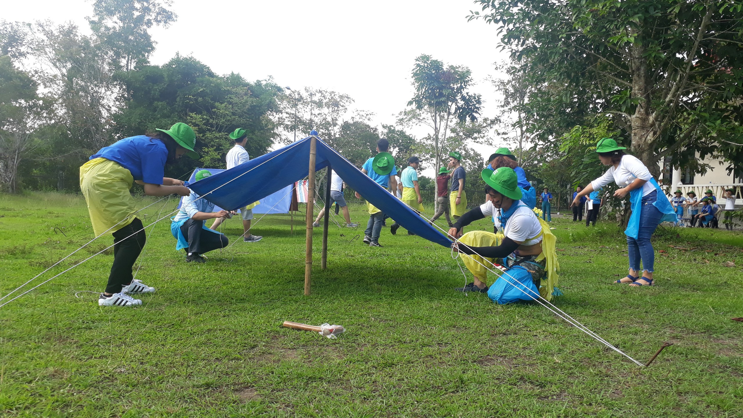 447dd53149e7acb9f5f6.jpg?t=1762423302