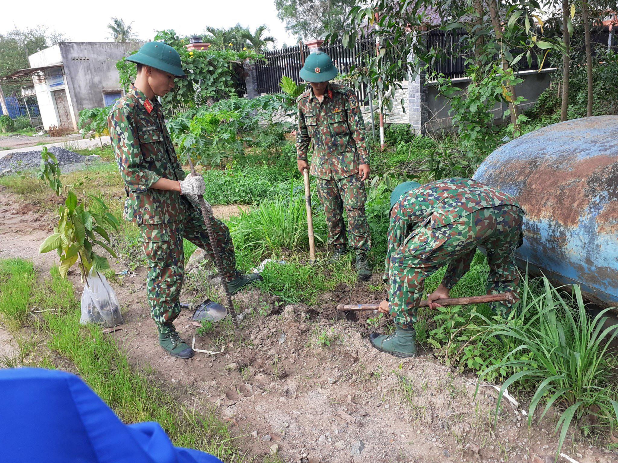 TNH14.jpg?t=1762423302