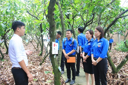 IMG_0134534535321-5.jpg?t=1762423302