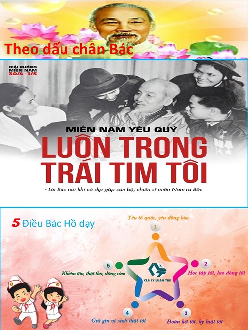 SHCD T5 2020-2.jpg?t=1762423302