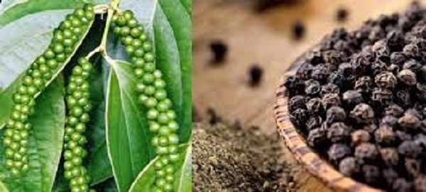 hotieu.jpg?t=1762423302