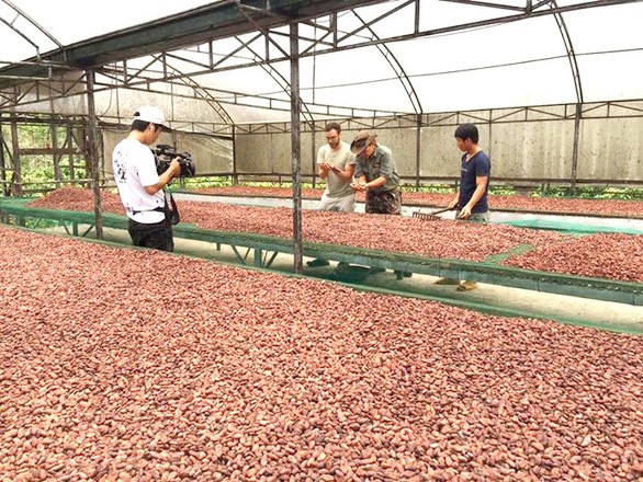 ca cao.jpg?t=1762423302