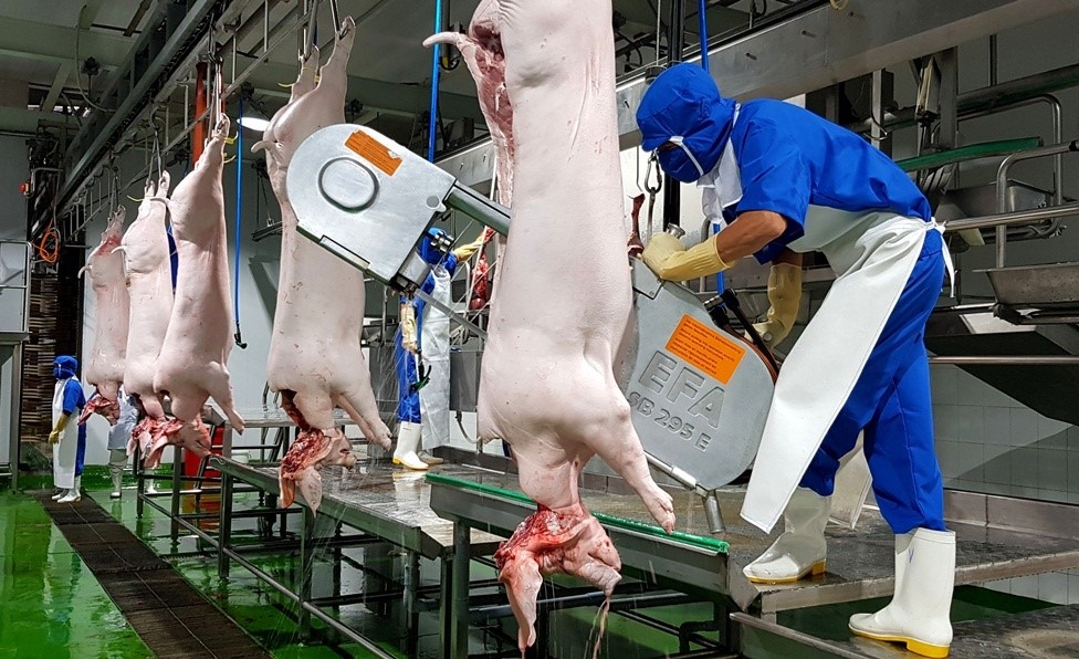 day chuyen heo.jpg?t=1762423302