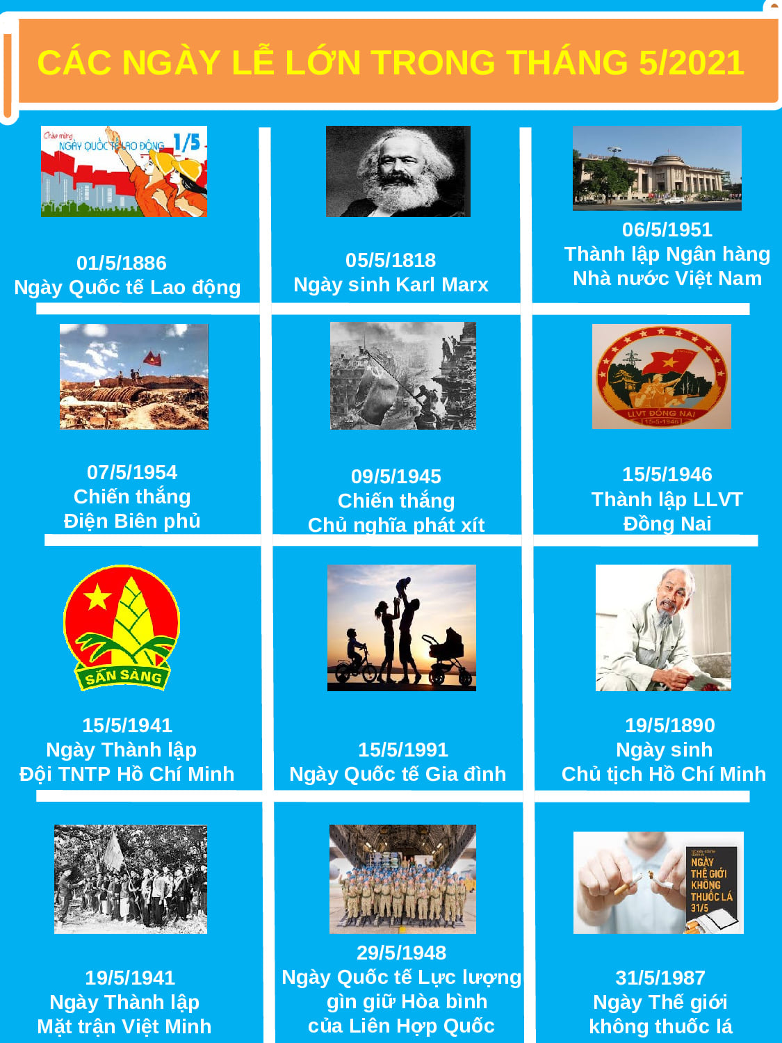 TLSTCD T5-24.jpg?t=1762423302