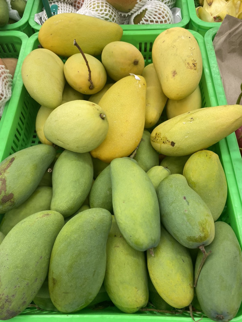 z4070099637810_fb1161abeb81af286a7e89df771c96a9.jpg?t=1762423302