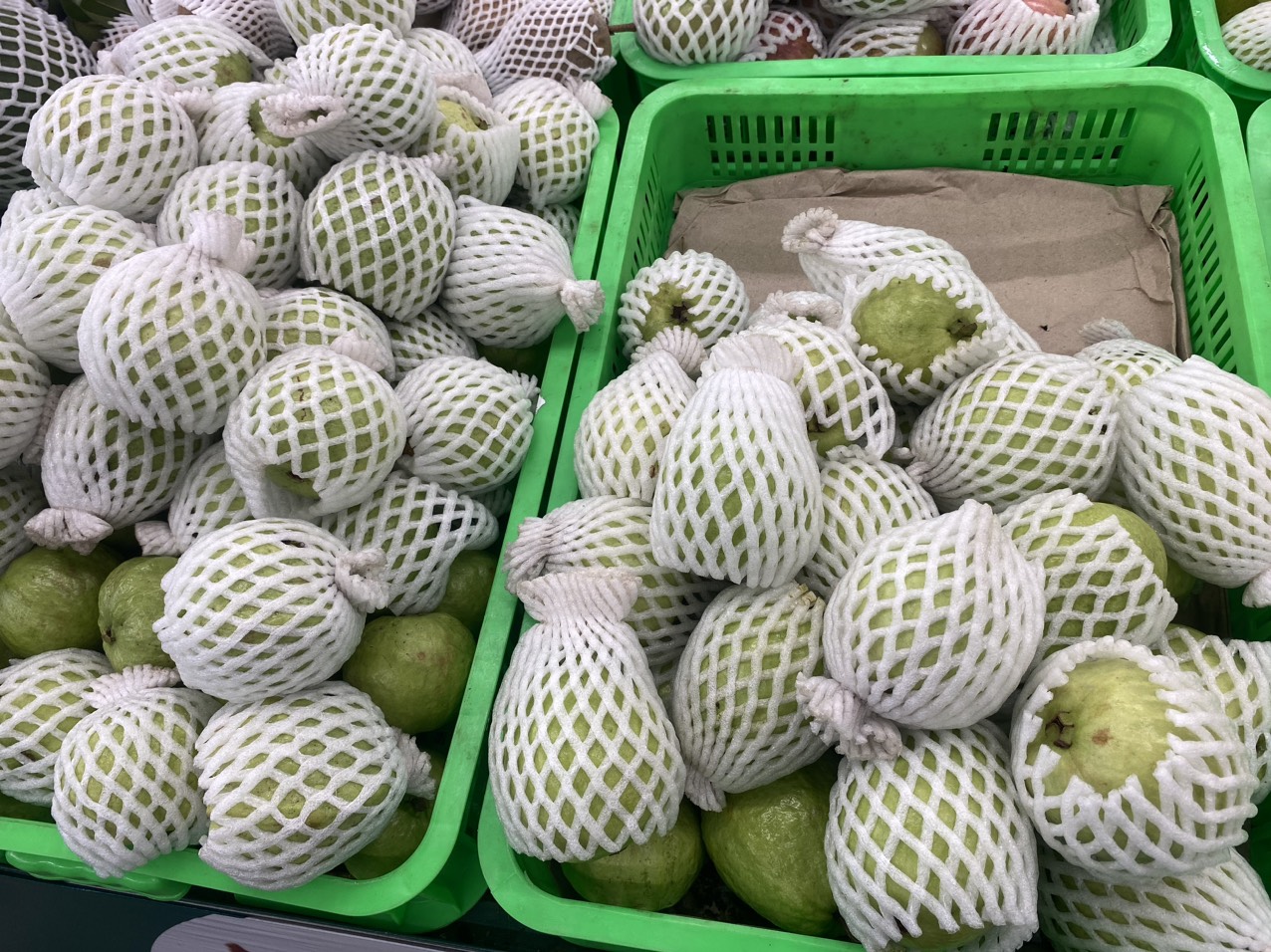 z4070099699746_f37676643316b7d3c04d917217cb2e44 (1).jpg?t=1762423302