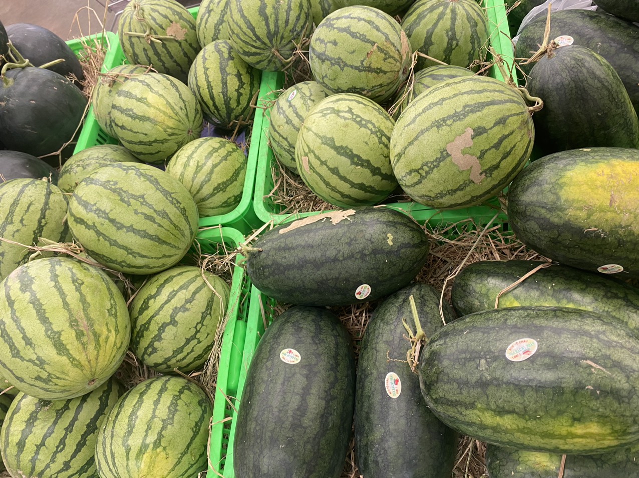 z4070099706933_eb72ddf9c674cb19c55f36f8d568f0fa (1).jpg?t=1762423302