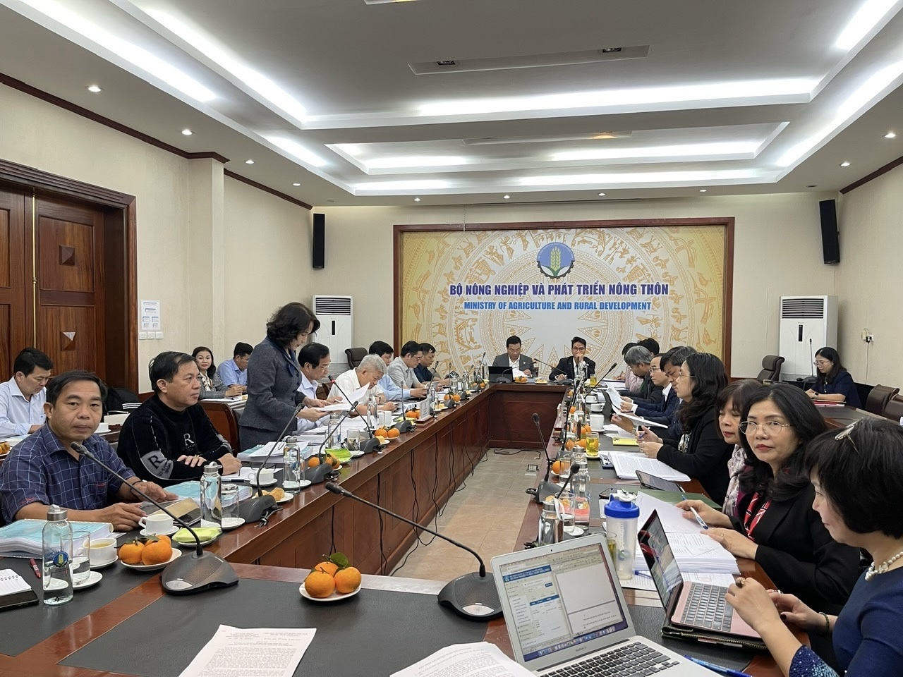 hinh XL.jpg?t=1762423302