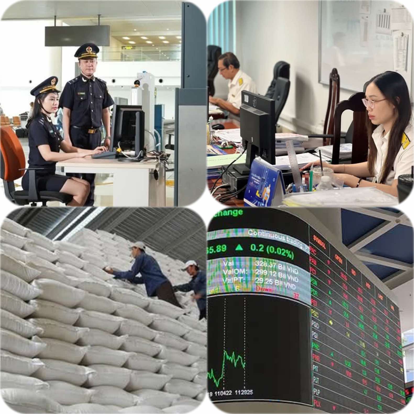 10 dieu dat.jpg?t=1762423302