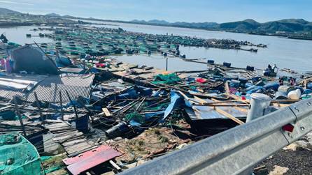 img-0529-2360.jpg?t=1762423301