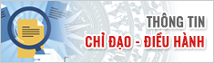 Chỉ đạo diều hành