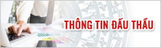 Thông tin đấu thầu